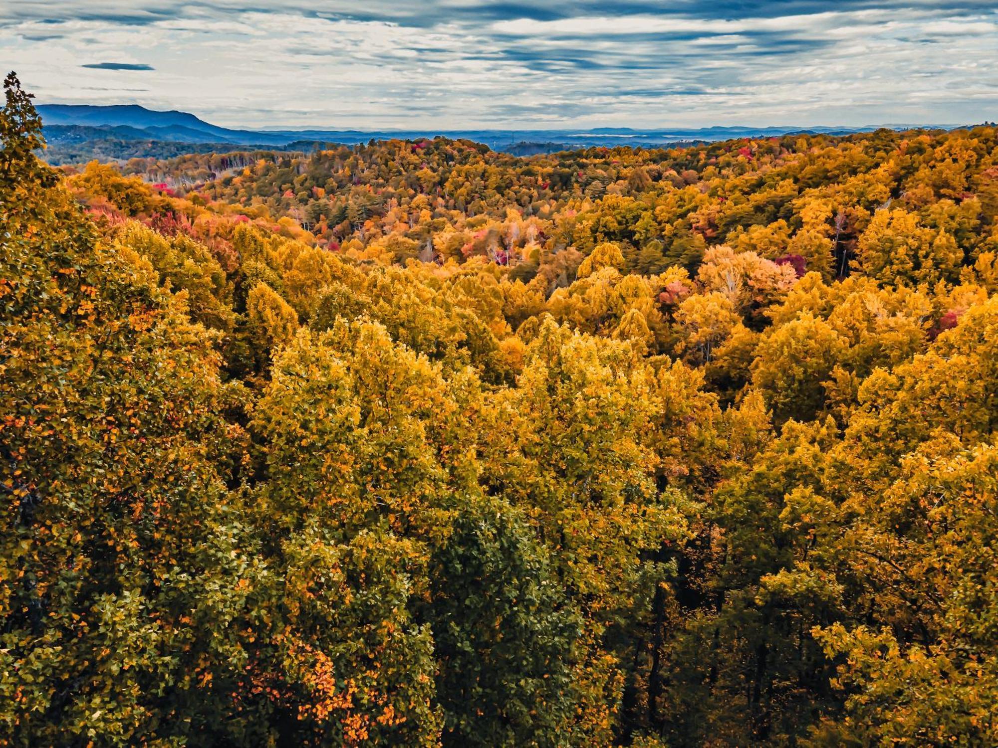 Secluded Mtn View New! 10 Mins To Gatlinburg Or Parkヴィラ エクステリア 写真